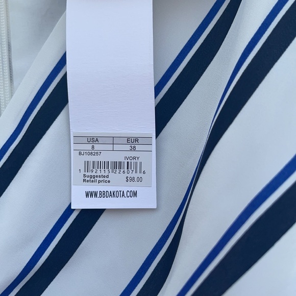 BB Dakota visual pursuit striped dress - Picture 6 of 7